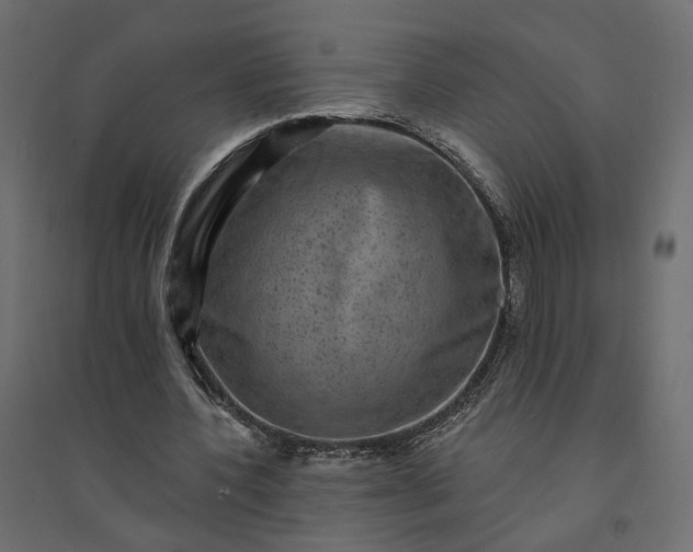 X0000094420532200711211412