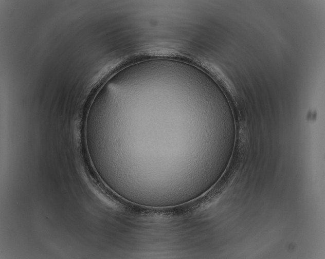X0000094420533200711211412