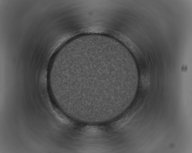 X0000094420534200711211412