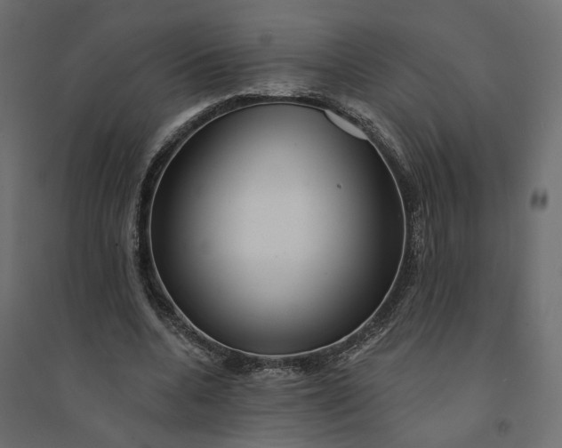X0000094420536200711211412