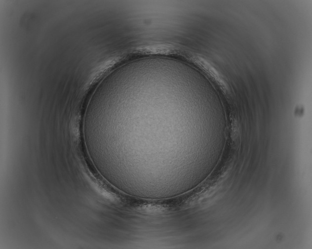 X0000094420537200711211412