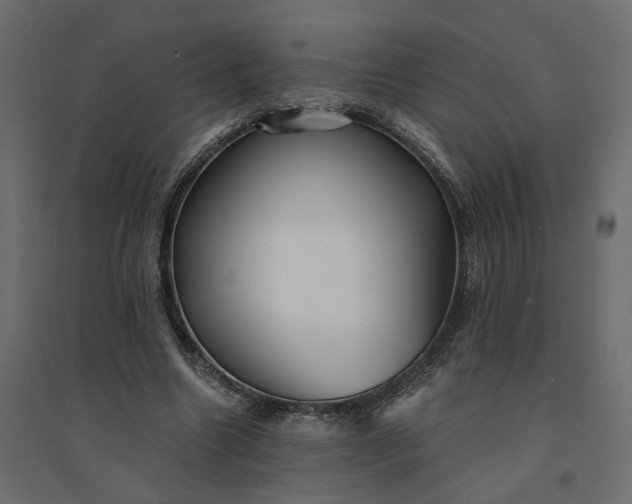 X0000094420538200711211412