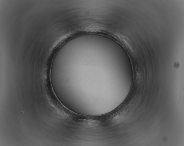 X0000094420539200711211412