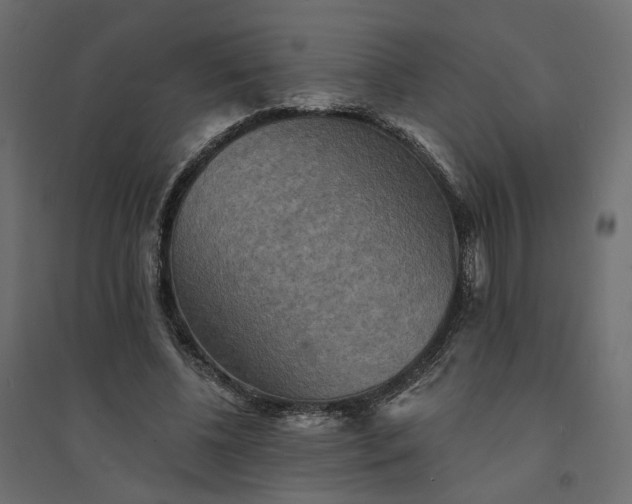 X0000094420540200711211412