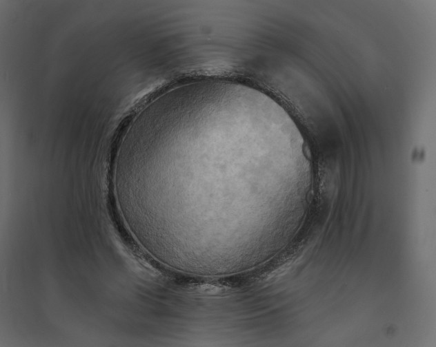 X0000094420542200711211412
