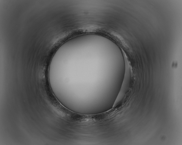X0000094420543200711211412