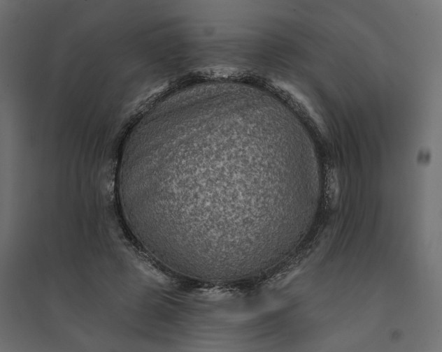 X0000094420545200711211412