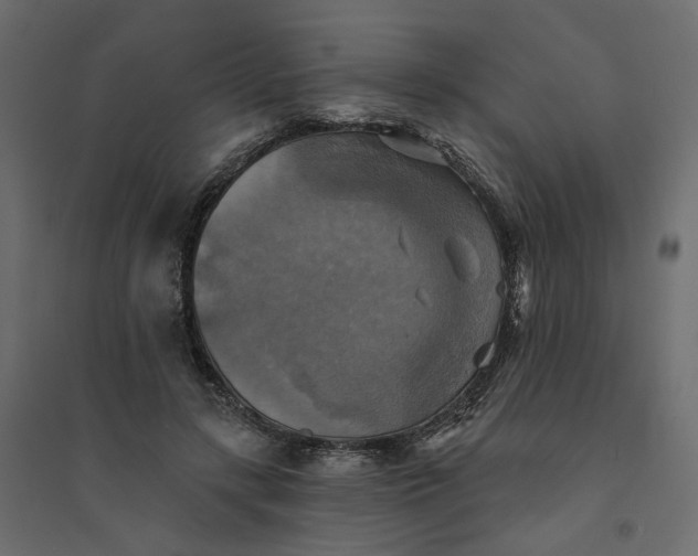 X0000094420547200711211412