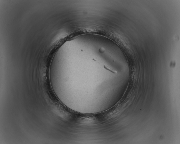 X0000094420548200711211412