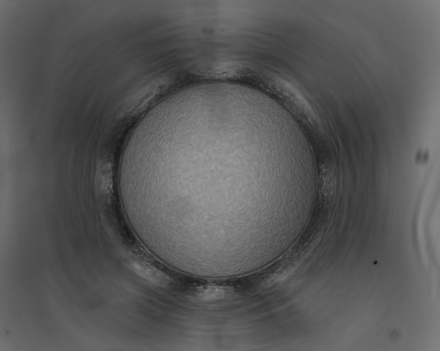 X0000094420549200711211413