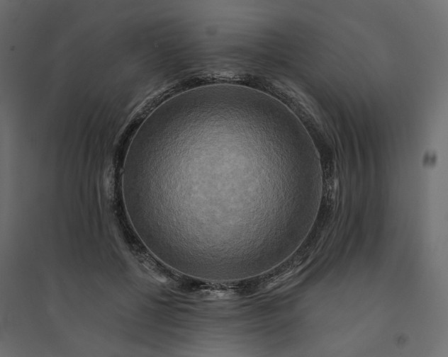 X0000094420552200711211413