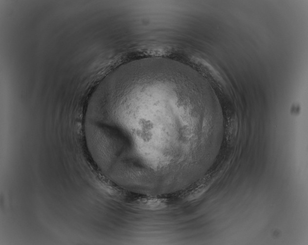X0000094420553200711211413