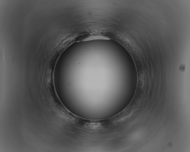 X0000094420554200711211413
