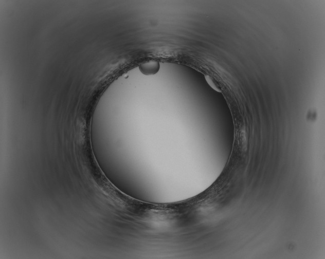 X0000094420556200711211413