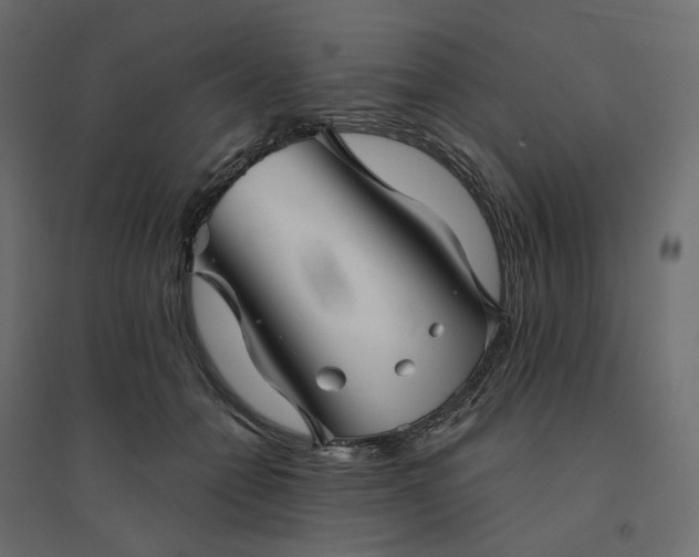 X0000094420558200711211413