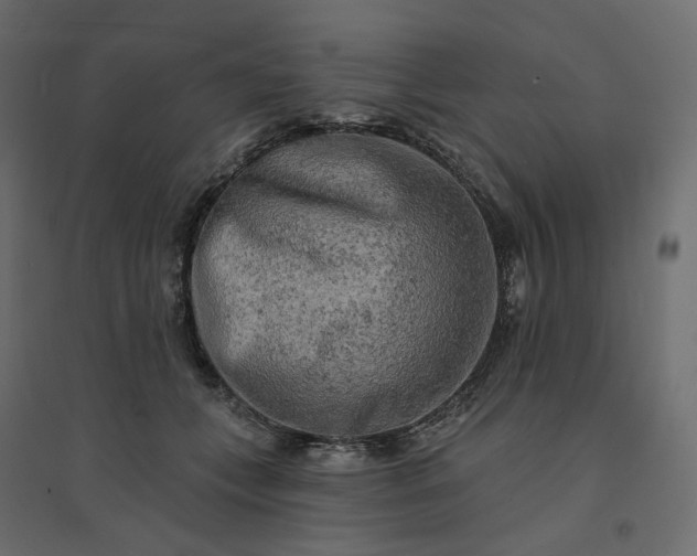 X0000094420559200711211413