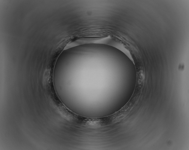 X0000094420560200711211413