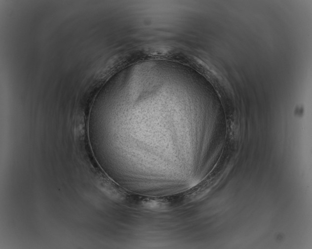 X0000094420561200711211413