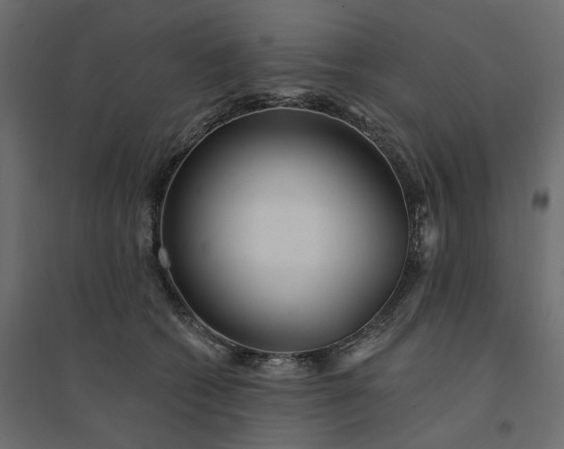 X0000094420562200711211413