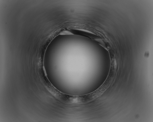 X0000094420564200711211413