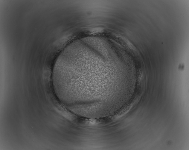 X0000094420565200711211413