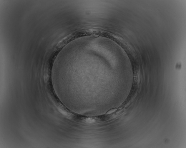 X0000094420566200711211413