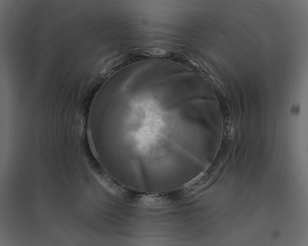 X0000094420568200711211413