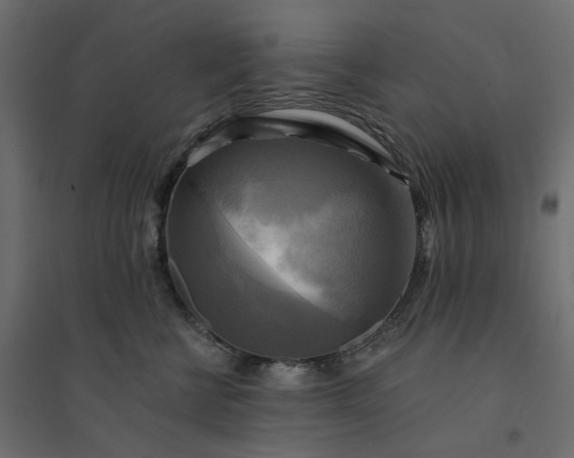 X0000094420570200711211413