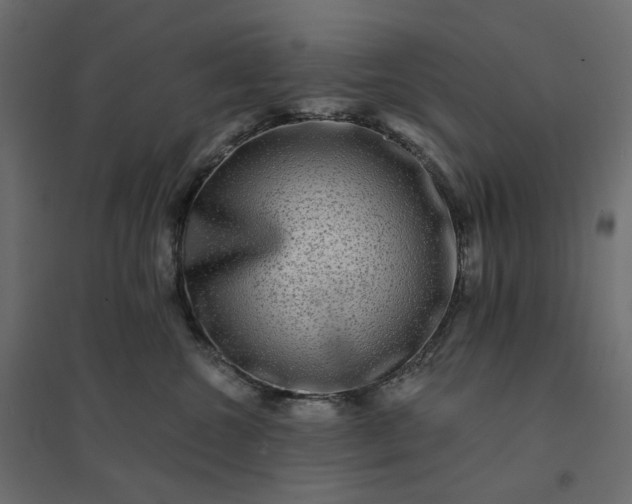 X0000094420572200711211413