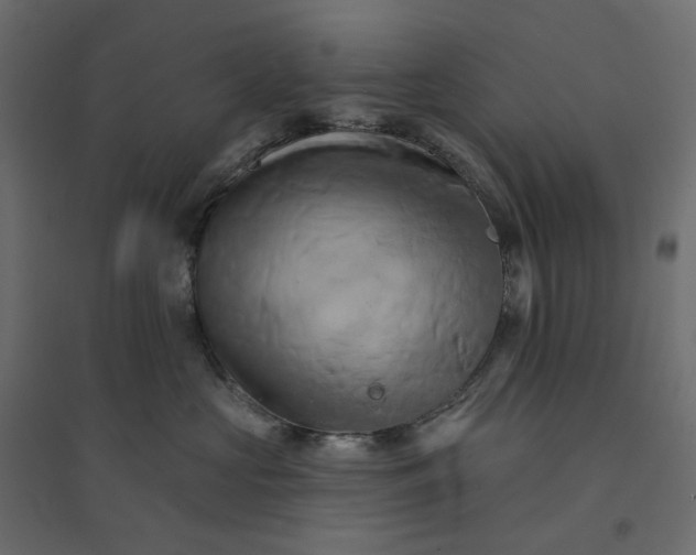 X0000094420573200711211413