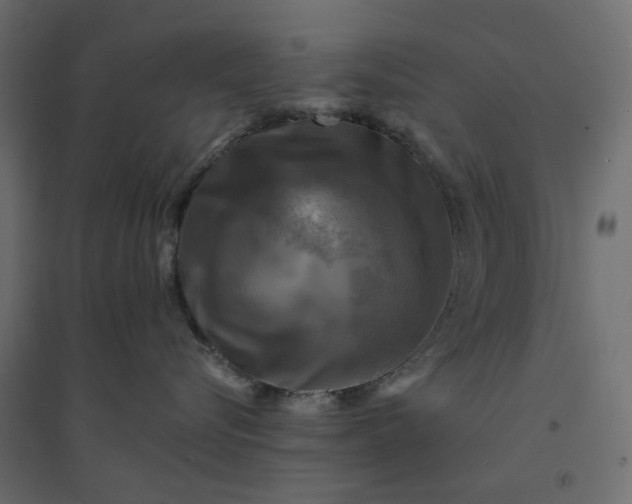 X0000094420576200711211413