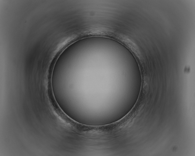 X0000094420578200711211412