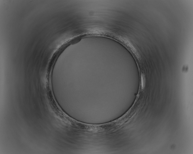X0000094420579200711211412