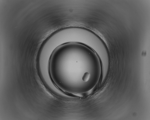 X0000094420581200711211412