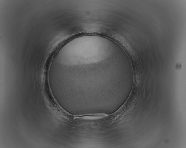 X0000094420583200711211412