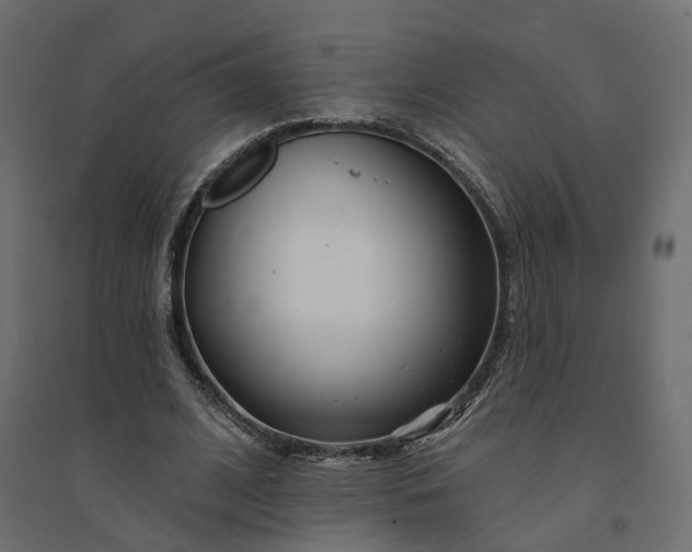 X0000094420584200711211412