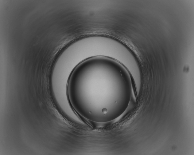 X0000094420585200711211412