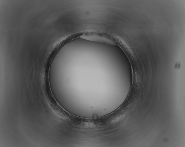 X0000094420588200711211412