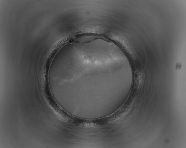 X0000094420590200711211412