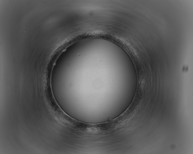 X0000094420591200711211412