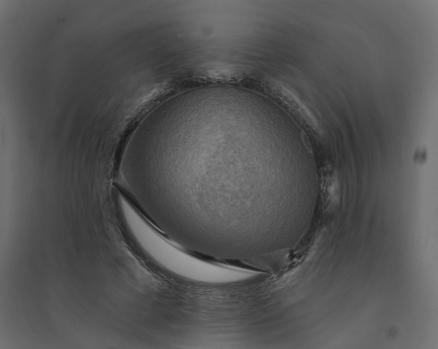 X0000094420593200711211412