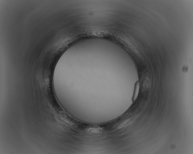 X0000094420595200711211412