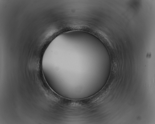 X0000094420596200711211412