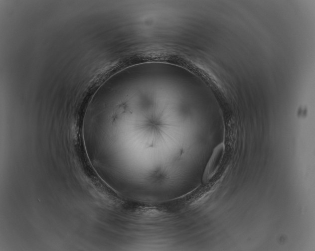 X0000094420597200711211412