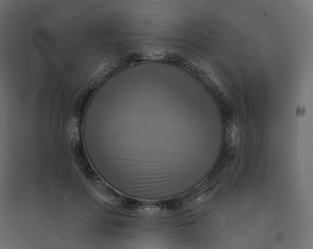 X0000094420598200711211412