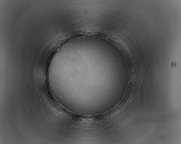 X0000094420599200711211412