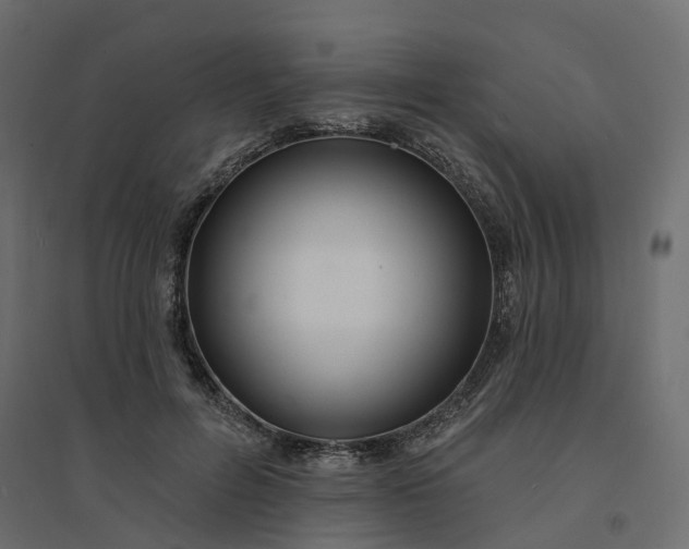 X0000094420600200711211412
