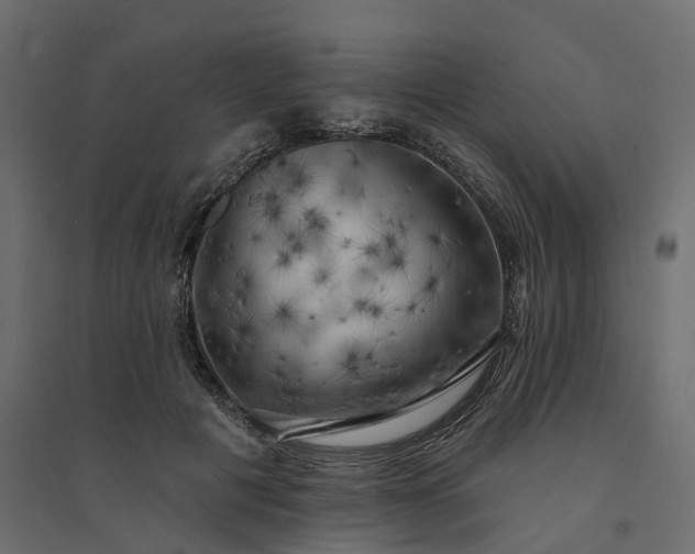 X0000094420601200711211412