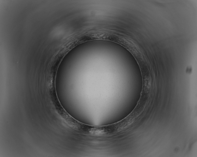 X0000094420602200711211412