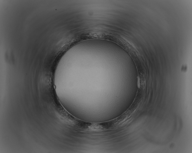 X0000094420603200711211412